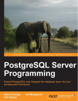 PostgreSQL_Server_Programming.pdf
